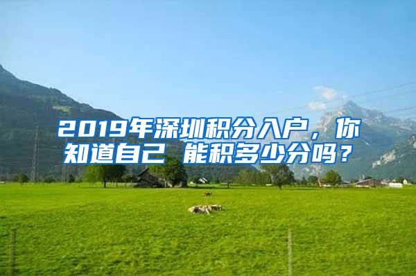 2019年深圳积分入户，你知道自己 能积多少分吗？