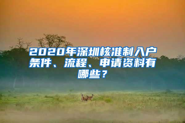 2020年深圳核准制入户条件、流程、申请资料有哪些？