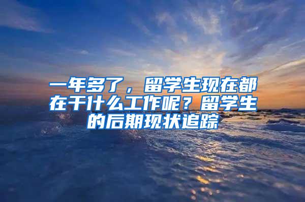 一年多了，留学生现在都在干什么工作呢？留学生的后期现状追踪