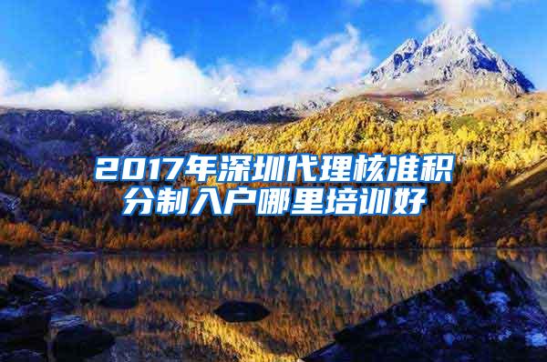 2017年深圳代理核准积分制入户哪里培训好