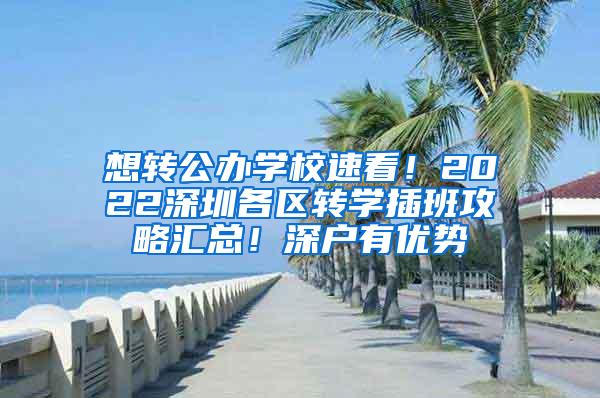 想转公办学校速看！2022深圳各区转学插班攻略汇总！深户有优势