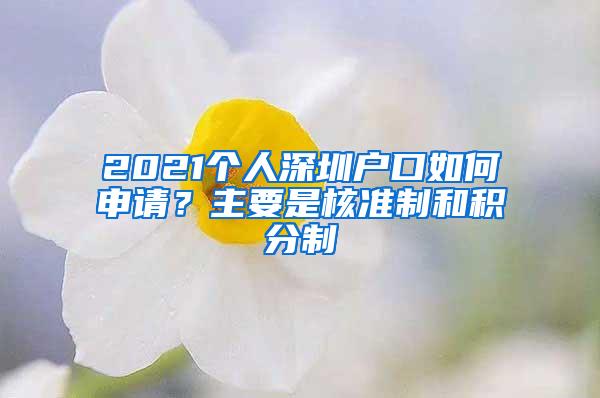 2021个人深圳户口如何申请？主要是核准制和积分制