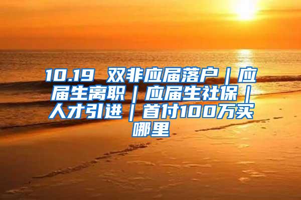 10.19 双非应届落户｜应届生离职｜应届生社保｜人才引进｜首付100万买哪里