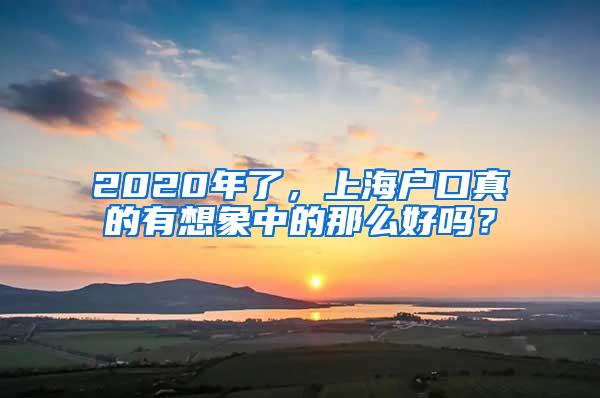 2020年了，上海户口真的有想象中的那么好吗？