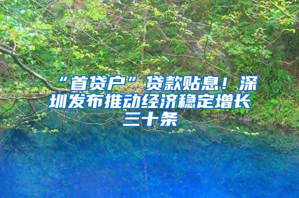 “首贷户”贷款贴息！深圳发布推动经济稳定增长三十条