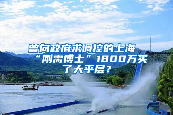 曾向政府求调控的上海“刚需博士”1800万买了大平层？