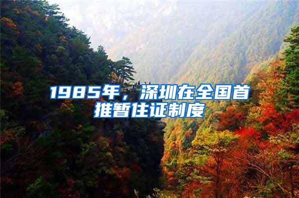 1985年，深圳在全国首推暂住证制度