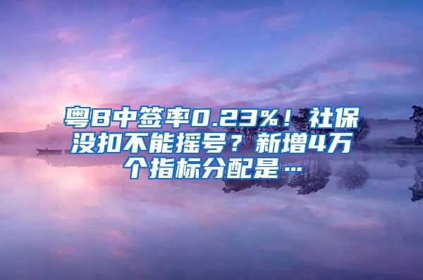 粤B中签率0.23%！社保没扣不能摇号？新增4万个指标分配是…