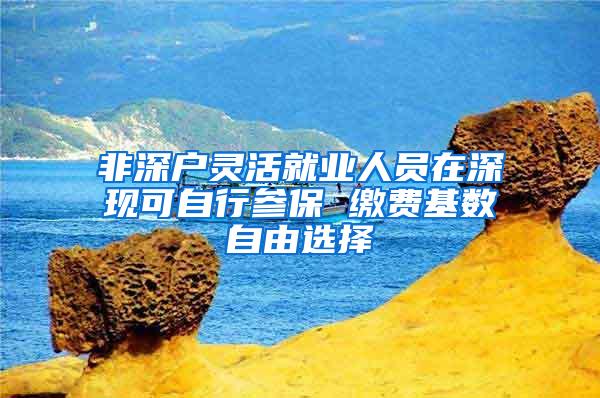 非深户灵活就业人员在深现可自行参保 缴费基数自由选择