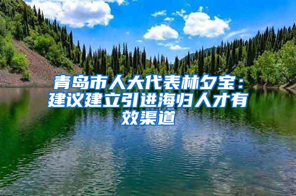 青岛市人大代表林夕宝：建议建立引进海归人才有效渠道