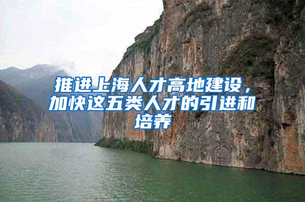 推进上海人才高地建设，加快这五类人才的引进和培养