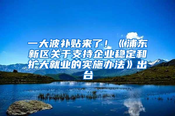 一大波补贴来了！《浦东新区关于支持企业稳定和扩大就业的实施办法》出台