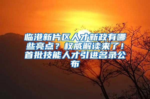 临港新片区人才新政有哪些亮点？权威解读来了！首批技能人才引进名录公布