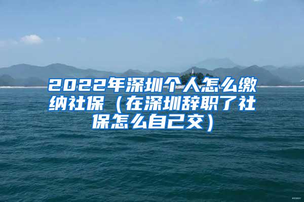 2022年深圳个人怎么缴纳社保（在深圳辞职了社保怎么自己交）