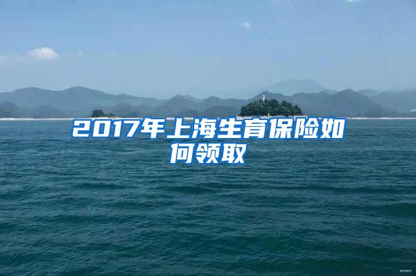 2017年上海生育保险如何领取