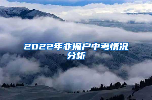 2022年非深户中考情况分析