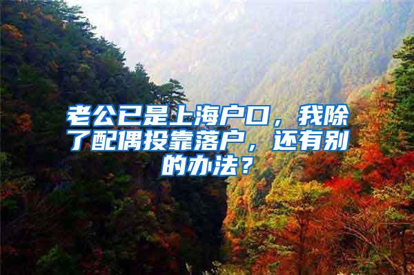 老公已是上海户口，我除了配偶投靠落户，还有别的办法？