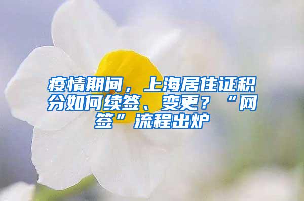 疫情期间，上海居住证积分如何续签、变更？“网签”流程出炉