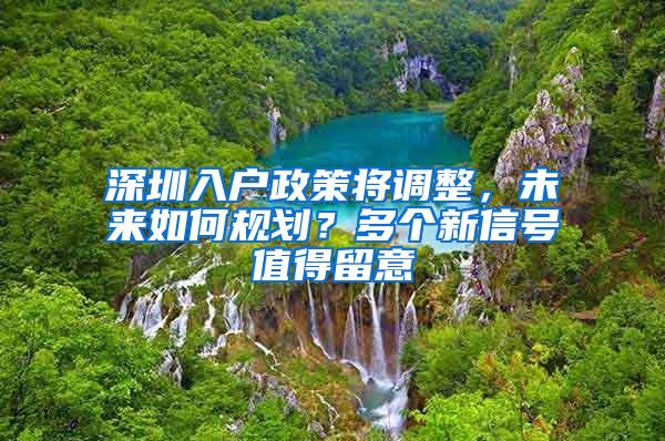 深圳入户政策将调整，未来如何规划？多个新信号值得留意