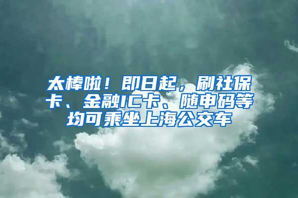 太棒啦！即日起，刷社保卡、金融IC卡、随申码等均可乘坐上海公交车