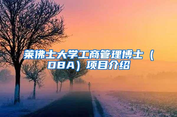 莱佛士大学工商管理博士（DBA）项目介绍