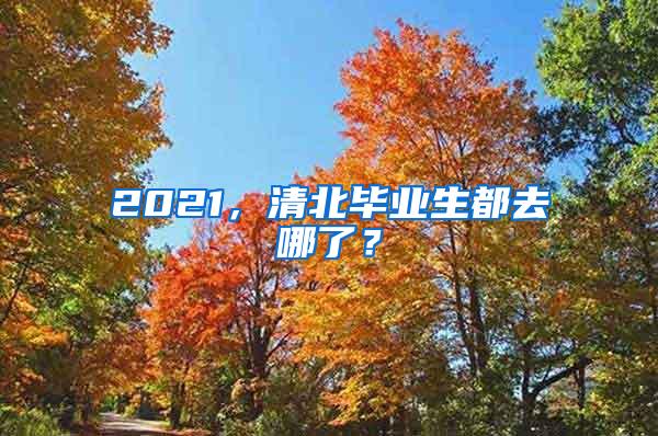 2021，清北毕业生都去哪了？