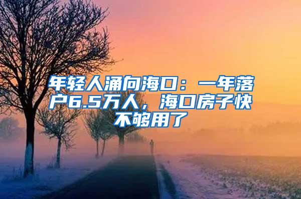 年轻人涌向海口：一年落户6.5万人，海口房子快不够用了