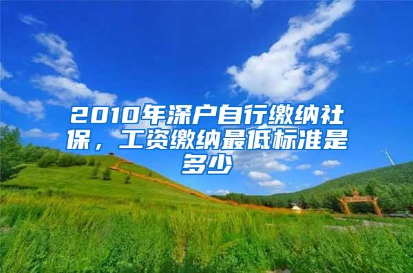 2010年深户自行缴纳社保，工资缴纳最低标准是多少