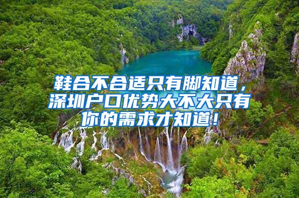 鞋合不合适只有脚知道，深圳户口优势大不大只有你的需求才知道！