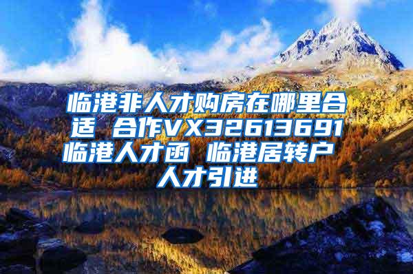 临港非人才购房在哪里合适 合作VX32613691临港人才函 临港居转户 人才引进