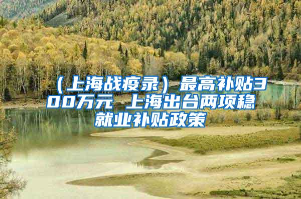 （上海战疫录）最高补贴300万元 上海出台两项稳就业补贴政策