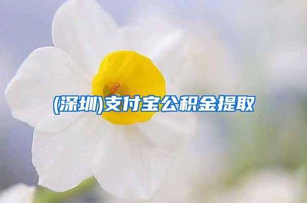 (深圳)支付宝公积金提取