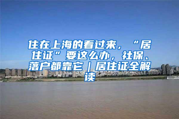 住在上海的看过来，“居住证”要这么办，社保、落户都靠它｜居住证全解读