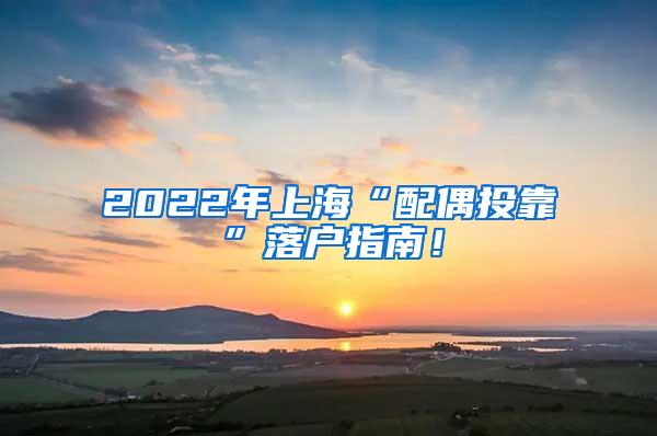 2022年上海“配偶投靠”落户指南！