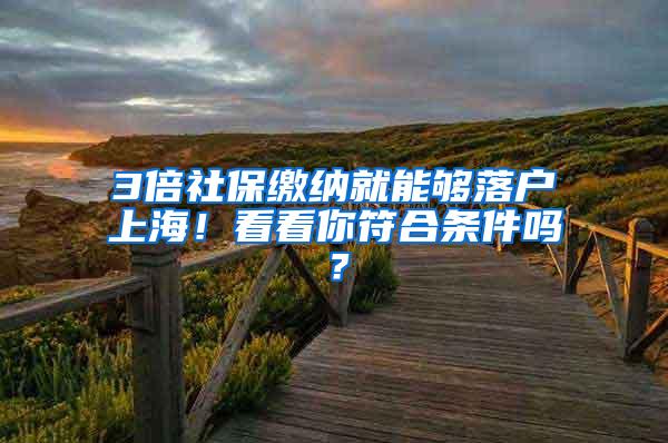 3倍社保缴纳就能够落户上海！看看你符合条件吗？