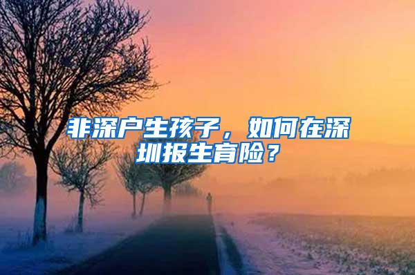 非深户生孩子，如何在深圳报生育险？