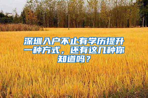 深圳入户不止有学历提升一种方式，还有这几种你知道吗？