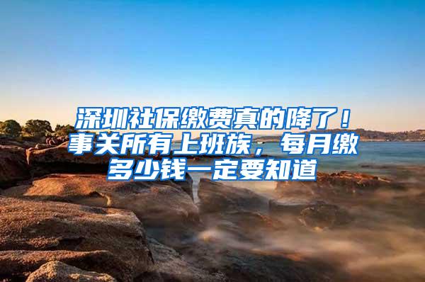 深圳社保缴费真的降了！事关所有上班族，每月缴多少钱一定要知道