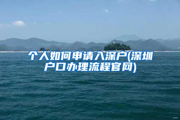 个人如何申请入深户(深圳户口办理流程官网)