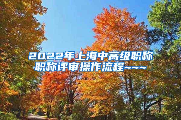 2022年上海中高级职称职称评审操作流程~~~