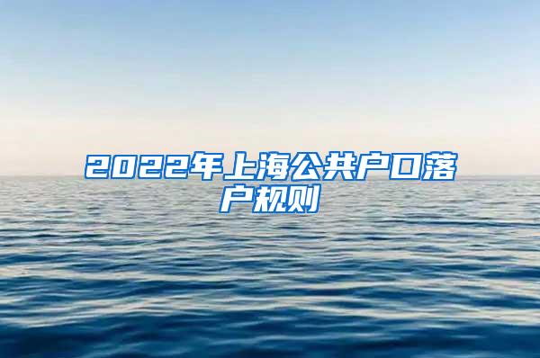 2022年上海公共户口落户规则