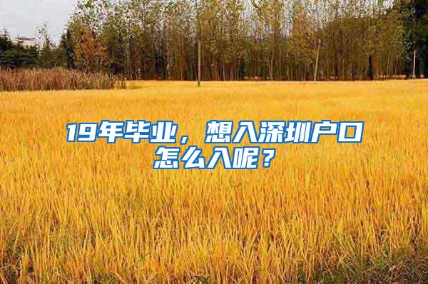 19年毕业，想入深圳户口怎么入呢？