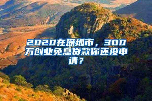 2020在深圳市，300万创业免息贷款你还没申请？