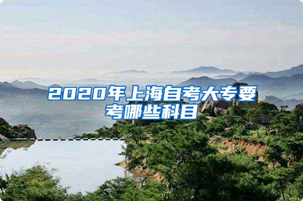 2020年上海自考大专要考哪些科目