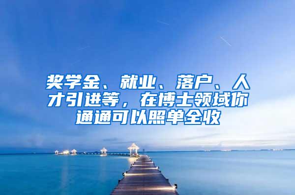 奖学金、就业、落户、人才引进等，在博士领域你通通可以照单全收