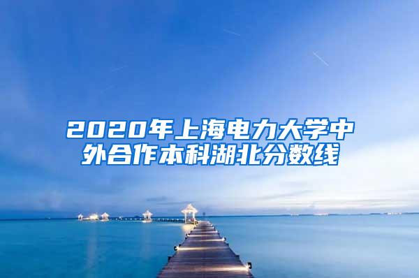 2020年上海电力大学中外合作本科湖北分数线