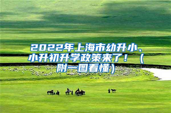 2022年上海市幼升小、小升初升学政策来了！（附一图看懂）