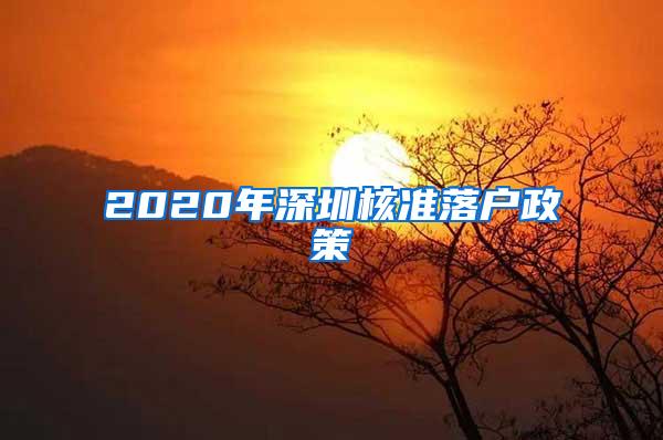 2020年深圳核准落户政策