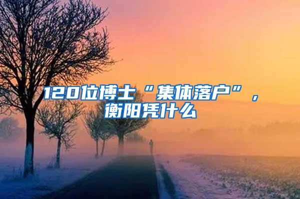 120位博士“集体落户”，衡阳凭什么