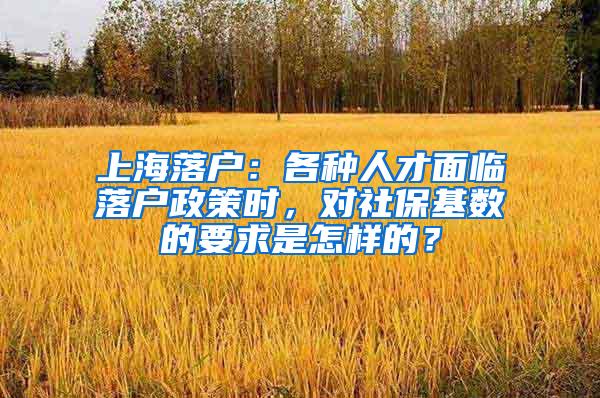 上海落户：各种人才面临落户政策时，对社保基数的要求是怎样的？